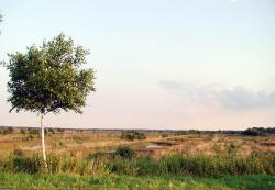 Abbaugebiet fr Torf bei Forstort-Anfang