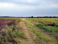 Feldweg an der Zevener Strasse